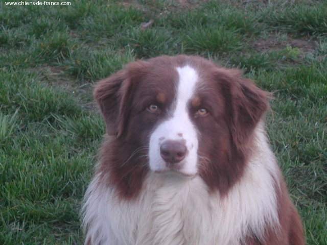 Rasta De la ferme de biesse